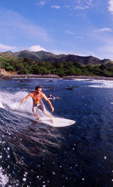 20070124140659-primary-surf-01.jpg